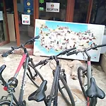 Anz * Selçuk