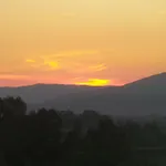 Anz Privatunterkunft Selçuk