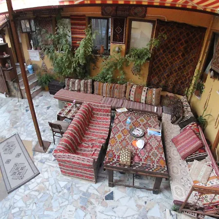 Anz ホームステイ セルチュク