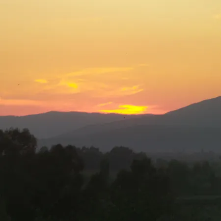 Anz ホームステイ セルチュク