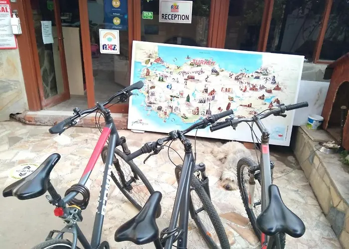 Anz * セルチュク