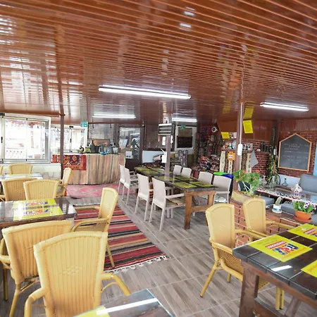 Anz * Selçuk