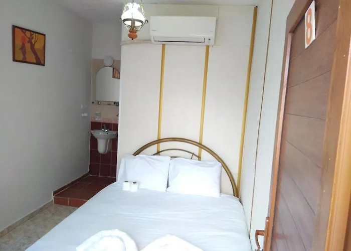 Anz Alloggio in famiglia Selçuk