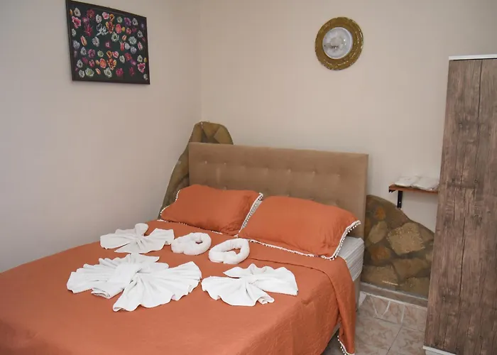 Anz Alloggio in famiglia Selçuk