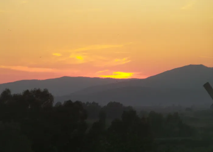 Anz Alloggio in famiglia Selçuk